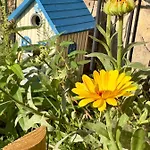 Casa David Vakantiehuis *